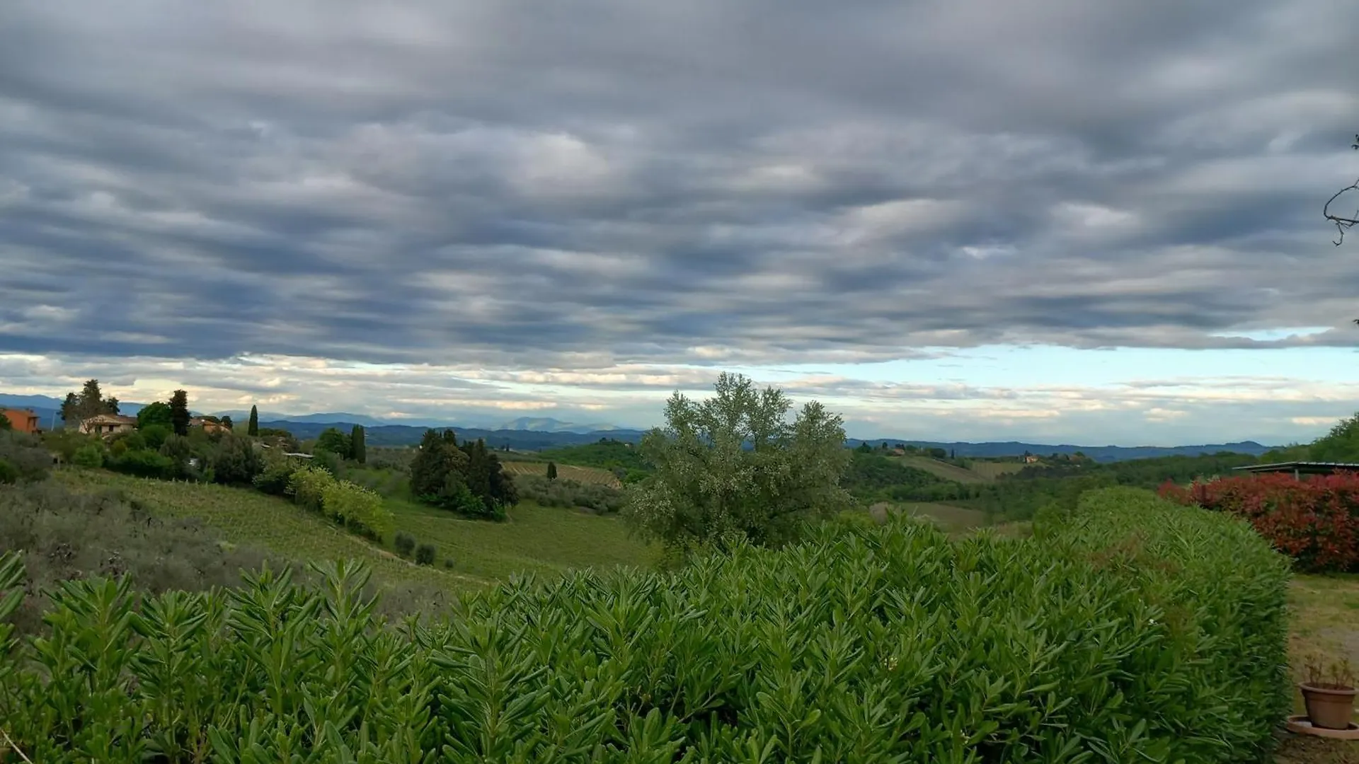 Farm stay Podere Luma Camera Roseto - Mimosa Gambassi Terme