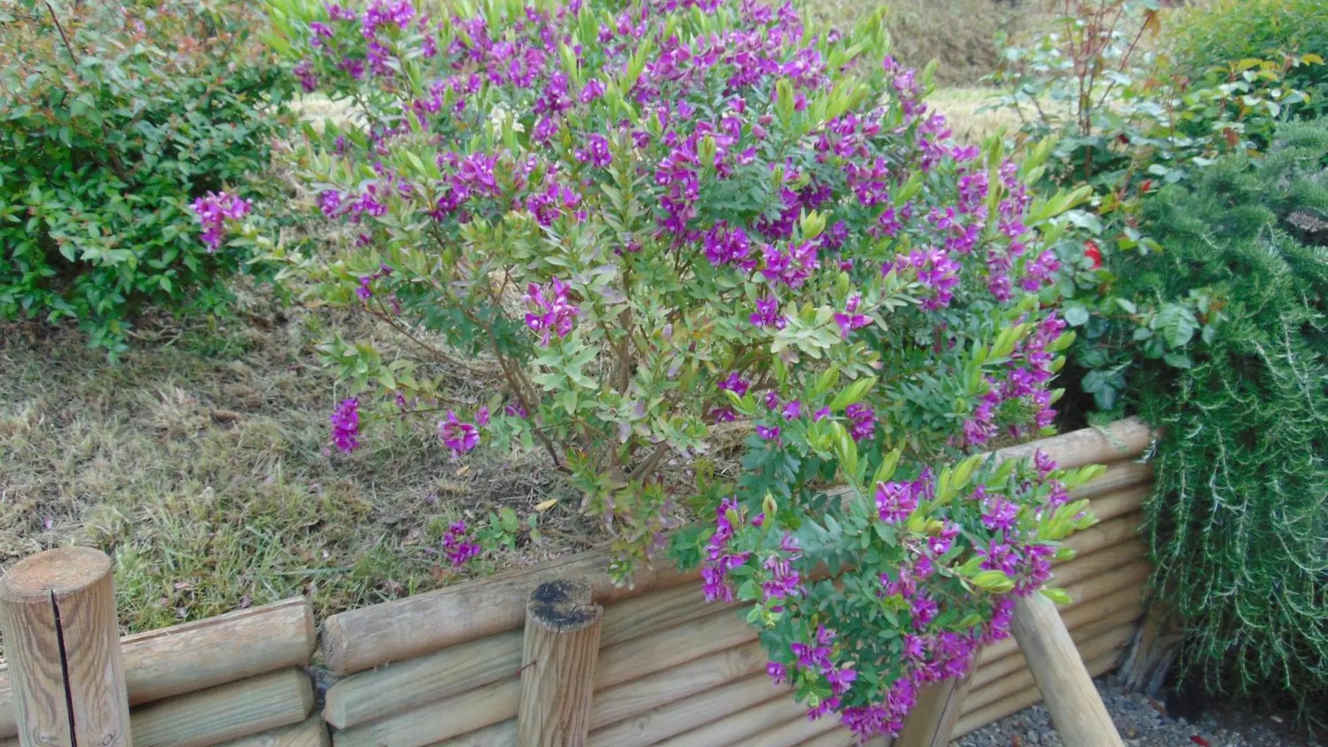 Podere Luma Camera Roseto - Mimosa Gambassi Terme 0*,  İtalya